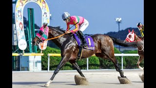 【佐賀競馬】第8回 佐賀オータムスプリント（2025.10.19）