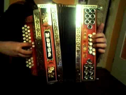 Te domace vize by Filip