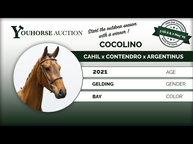 Cocolino