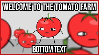 【 Welcome to the Tomato Farm 】