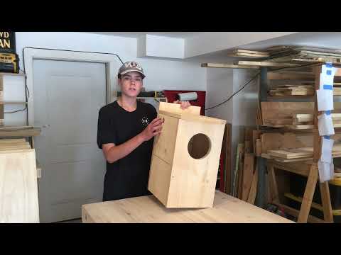 How to make an owl house the right way