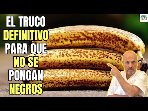 ✅ HOW TO KEEP BANANAS FOR LONGER WITHOUT THEM TURNING BLACK WITH THIS TRICK? ✅