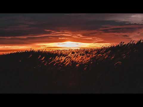 P.M Project feat. Presss - FREE (De Mogul SA Misty-Eyed Remix)