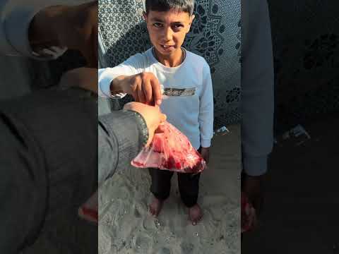 Gaza Distribution — Live Field Footage