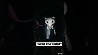 Prepare your Pokeball