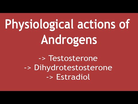 Physiological actions of Androgens (Testosterone, Dihydrotestosterone & Estradiol)