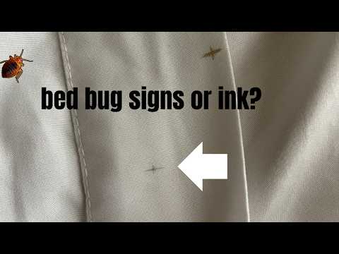 Early Signs of Bed Bugs: What to Look for Before It’s Too Late