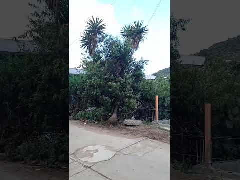 San Carlos Alzatate Jalapa Guatemala