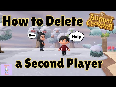 How to Delete a Second Player on Your Animal Crossing Island