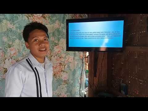 ICHTHYOLOGY(DEEP SEA HABITATS)GROUP G REPORT(BSMSB3D)