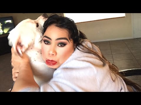 download lagu mp3 mp4 Kiss This If You Don T Like My Pitbull, download lagu Kiss This If You Don T Like My Pitbull gratis, unduh video klip Kiss This If You Don T Like My Pitbull