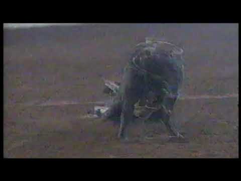 PBR 1998: Grape Ape runs over Rodney Lidgard