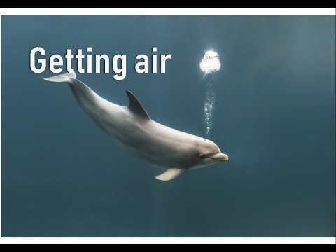 image-{{$article['question']}}