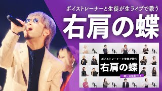 【ボイストレーナーと生徒が生ライブで歌う】右肩の蝶 / のりぴー【シアーミュージックフェス2025 in Zepp新宿】
