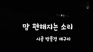 맘편해지는 시골밤 개구리 울음소리 정겹다