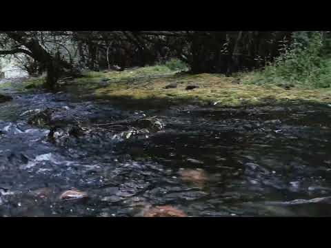 Catarata Del Mallín Ahogado, El Bolsón, Río Negro #PatagoniAargentina #ElBolson
