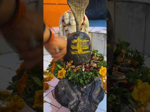 happy chocolate day baba #youtubeshorts #sasmitabeautifullife #sasmita #virlshort