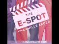 210 Lori Ross Of 7 Stones Publishing On The E Spot With Camille Vodcast Podcast