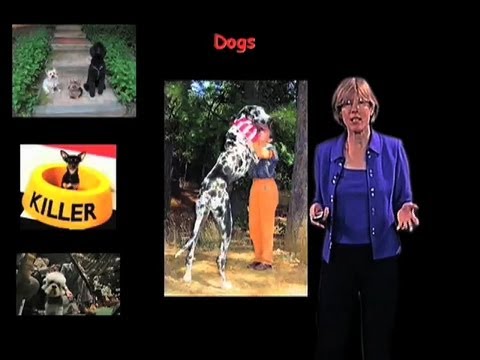 IGF-1 in aging - Cynthia Kenyon (UCSF)