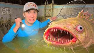 Download lagu I Found Deadly Fish in an Abandoned Pool… mp3