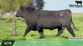 3 Toro PC - Gregorio Aberasturi - Plaza Ganadera