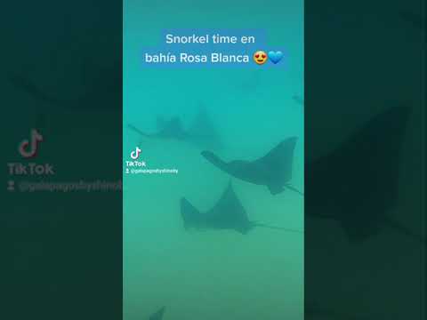 Tour 360 Galápagos 💙🤩👌