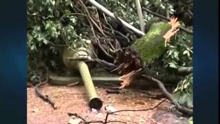 Jornal da Cultura | 08/11/2014