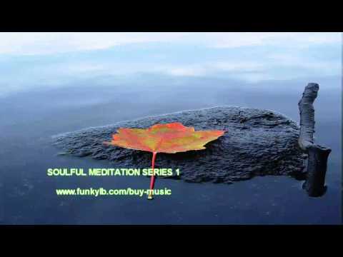 FUNKYLB'S Soulful Meditation Series 1 SAMPLER