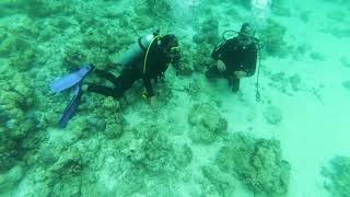 preview picture of video 'Dive pantai pinang kepulauan selayar'
