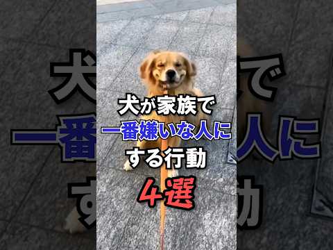 If a dog does this to you, you'll hate it