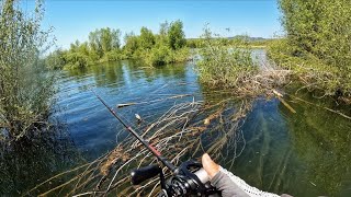 I needed a fishing “Reset day”
