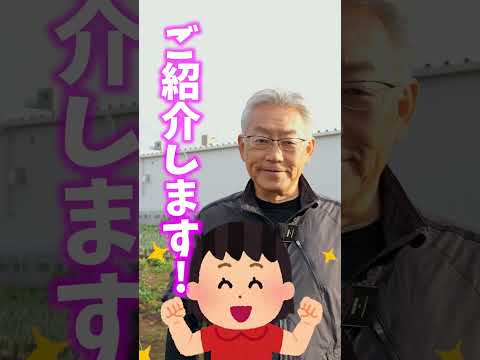 猫から菜園を守るには？庭に害虫を寄せ付けないようにするには、次の 7 つの自然なヒントを試してください。  庭園