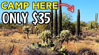 CHEAP Rv Camping in Tuscon, AZ 7 minutes from Sauguaro National Park!