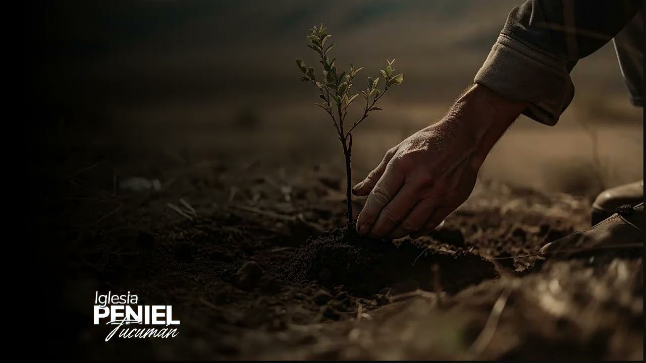 Cosecharás lo que siembres - Pr Jonatán Nichiporuk