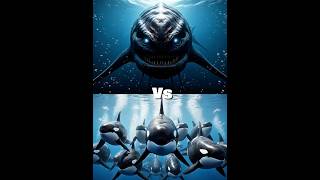 Bloop vs killer orca vs (Megalodon, Dolphin, shark, walrus, sperm whale, Whale shark, octopus)