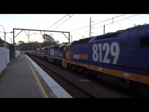 8129 / 8230 / 8126 with PN 9537 Flour - 19/8/17