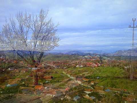 TARNOVA CARAS SEVERIN