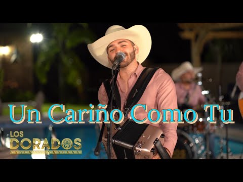 Los Dorados - Un Cariño Como Tu (En Vivo)