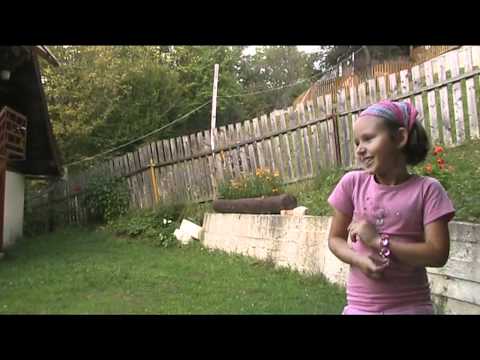 Pensiunea Meri- Albac, Alba