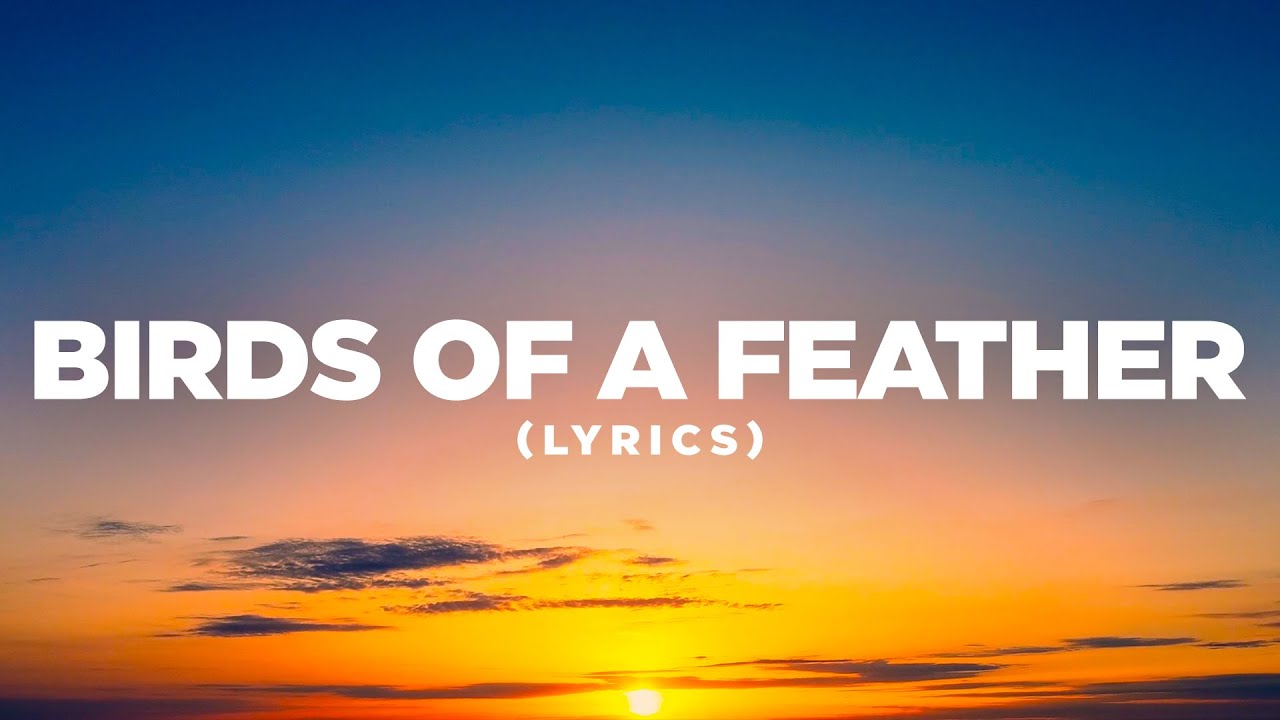 Billie Eilish - BIRDS OF A FEATHER (Lyrics Cover) | Pop Mage