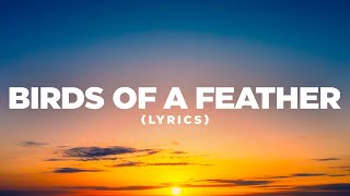 Billie Eilish - BIRDS OF A FEATHER (Lyrics Cover) | Pop Mage