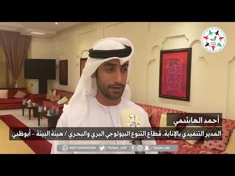 img-video