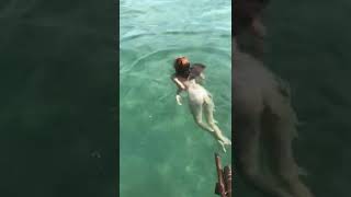 TikTok Viral#85   #tiktok #tiktokcompilation #bikinibodies