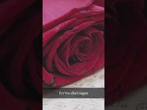 Meso Suren ALAK ( Në Transliterim Shqip ) Në HD