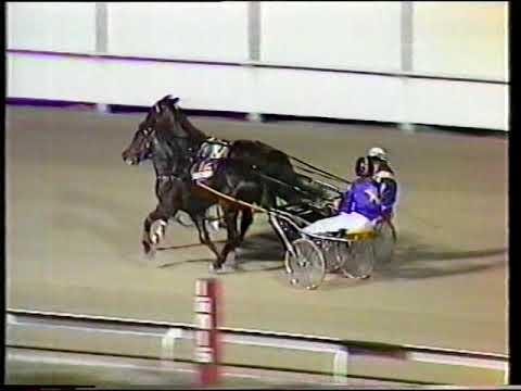 1986 Interdominion Final Wayne Wilson