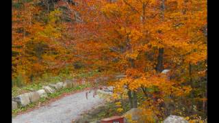 ღ ღ ღ  L' Amitié - Françoise Hardy - Friendship at 2:25  - Françoise Hardy