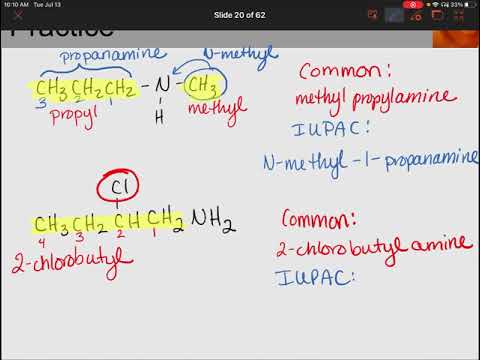 CHEM& 131 Acids, Esters, Amines, Amides - Naming Amines and Amides