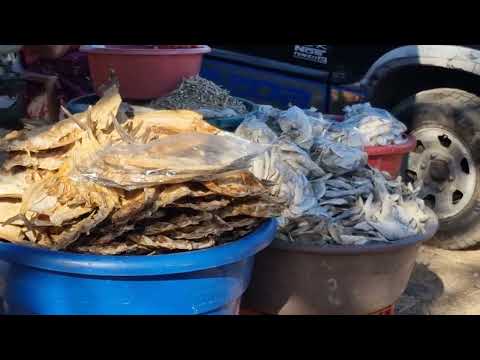 Tiangue de Nueva Guadalupe, San Miguel, El Salvador, miércoles 04 de febrero 2026