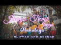 Jaago Tumi Jaago (Mahalaya) 🍁 (Slowed+Reverb)🥀 Bengali Lo-fi Song 🍂 Lo-fi Remix Song