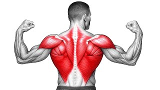 Ninguém Acredita Que Dá Pra Crescer as Costas Assim!